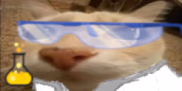 otagScientist emote