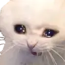 catCri emote