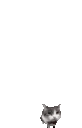buubuuKill emote