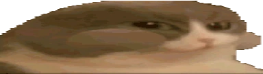 CatNum emote