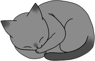 SleepyKitty emote