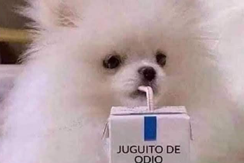 SADO static emote