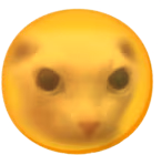 Sun_O_Bingus emote
