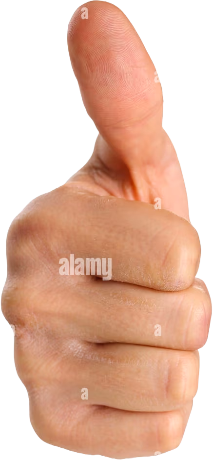 Realistic_thumbs_up emote