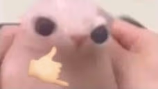 binguswicked emote