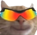 WickedCat emote