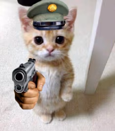 cat_cop emote