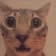 omg emote