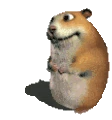 wow emote
