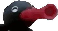 NootNoot emote