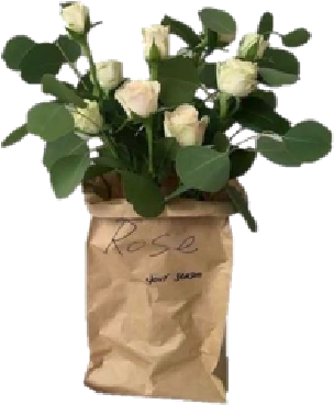 Flowerbag emote