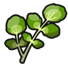 Watercress emote