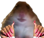 hamsterPeriodt emoji