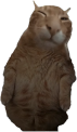 BUH
