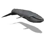 Zartano emoji
