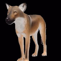 EcosSchismCoat emote