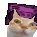 ermboomies emote