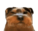 bbuh emote