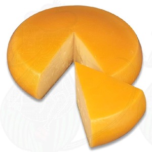 cheeseistired avatar