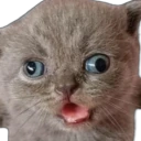 Derp emote