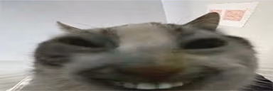xddwires emote