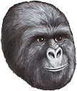 Jimmies emote