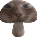 MUHomor