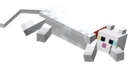cat emote