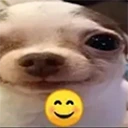 Smile emote