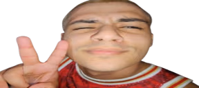 slowdown emote