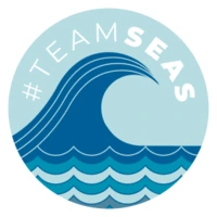 TeamSeas emote
