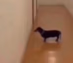 donowall emote