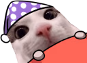 plinkwokege emote