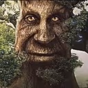 Wise_tree emote