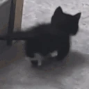 Leaving emote