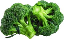 broccoli emote
