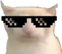 Cool_bruh_cat emote