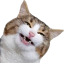 catsmile2 emote