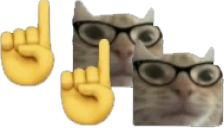 2 emote