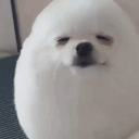 egg animated emote