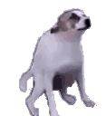 dogoPls emoji
