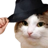 kiisu_tiphat emote