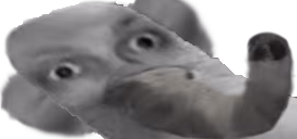 sloniu emote