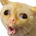 COUGH emote