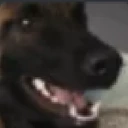 Jooni emote