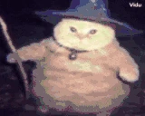fatasswizardcatdeadlifts emote