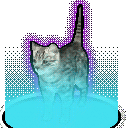 rare_cat animated emote