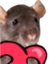 CE_RatHeart emote