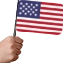 AmericanFlag emoji