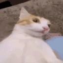 holyFuckingshit emote